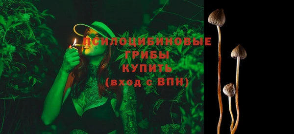 МДПВ Володарск