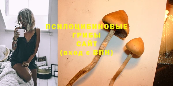 МДПВ Володарск