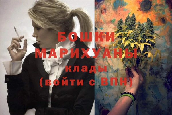 МДПВ Володарск