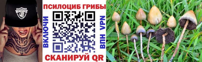 Псилоцибиновые грибы прущие грибы  Нарьян-Мар 